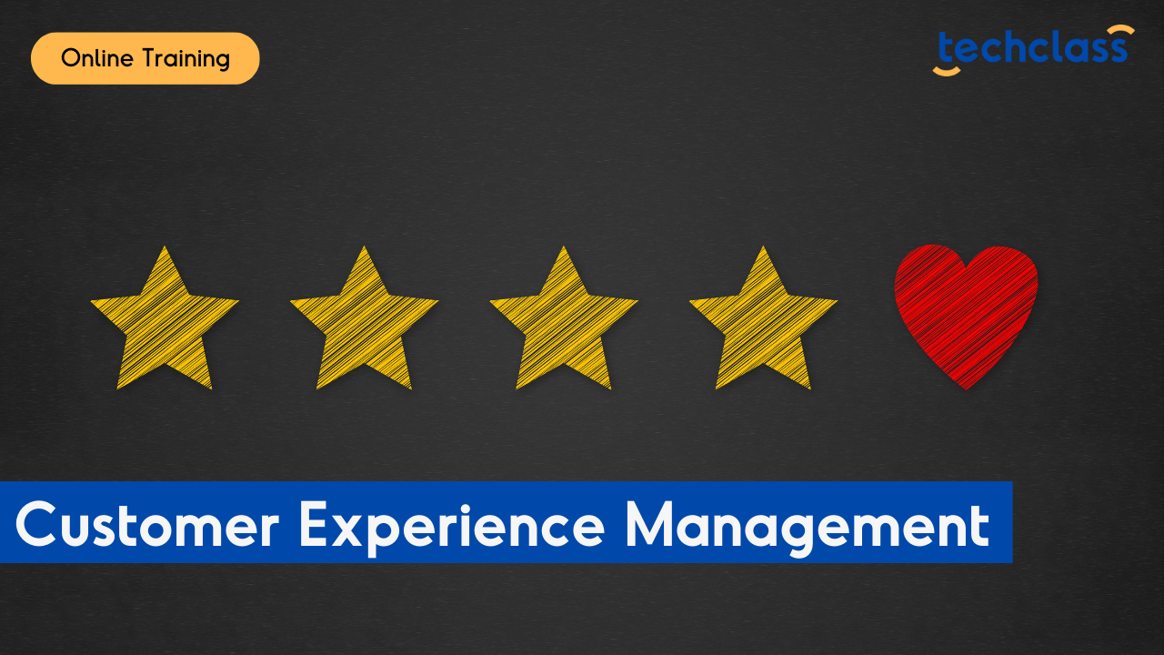 Customer Experience Management Online Training